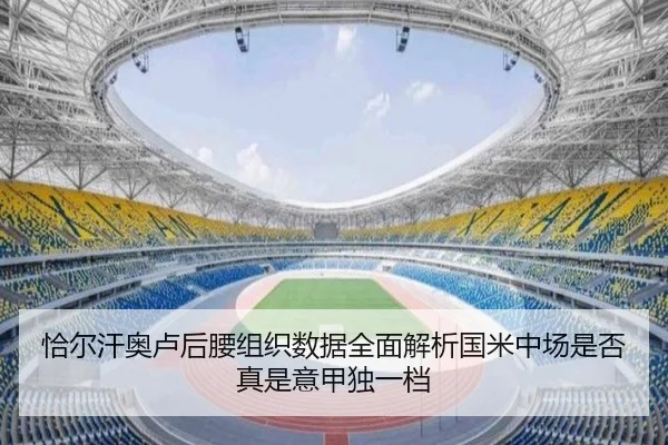 恰尔汗奥卢后腰组织数据全面解析国米中场是否真是意甲独一档