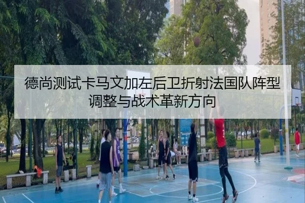 德尚测试卡马文加左后卫折射法国队阵型调整与战术革新方向
